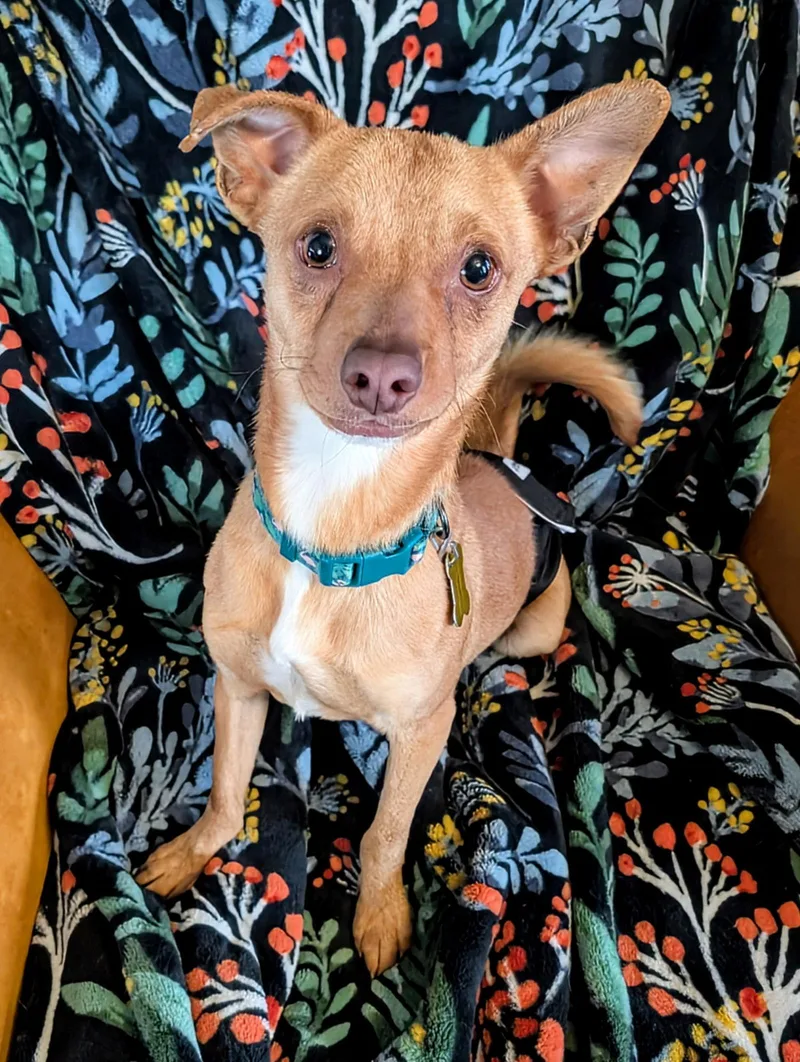 Nathan For You thumbnail 3