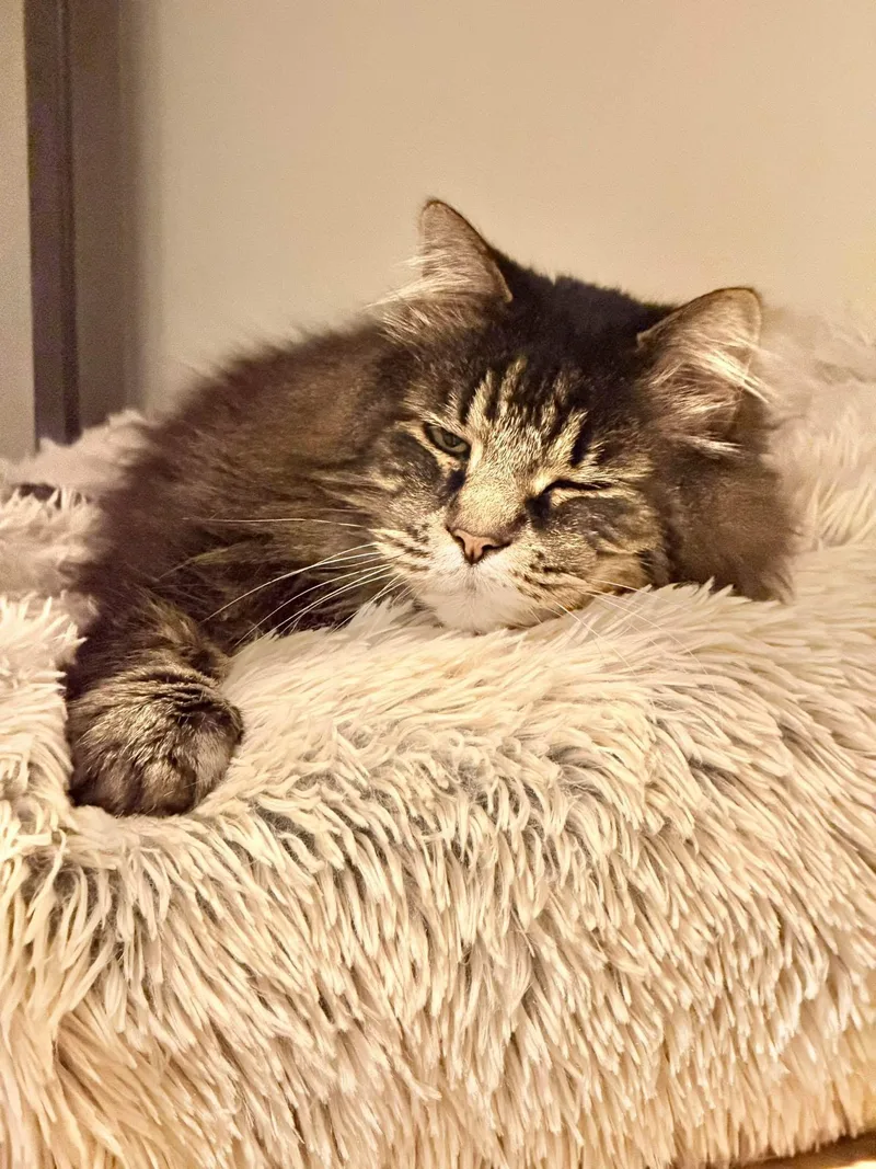 Reginald “reggie” thumbnail 2