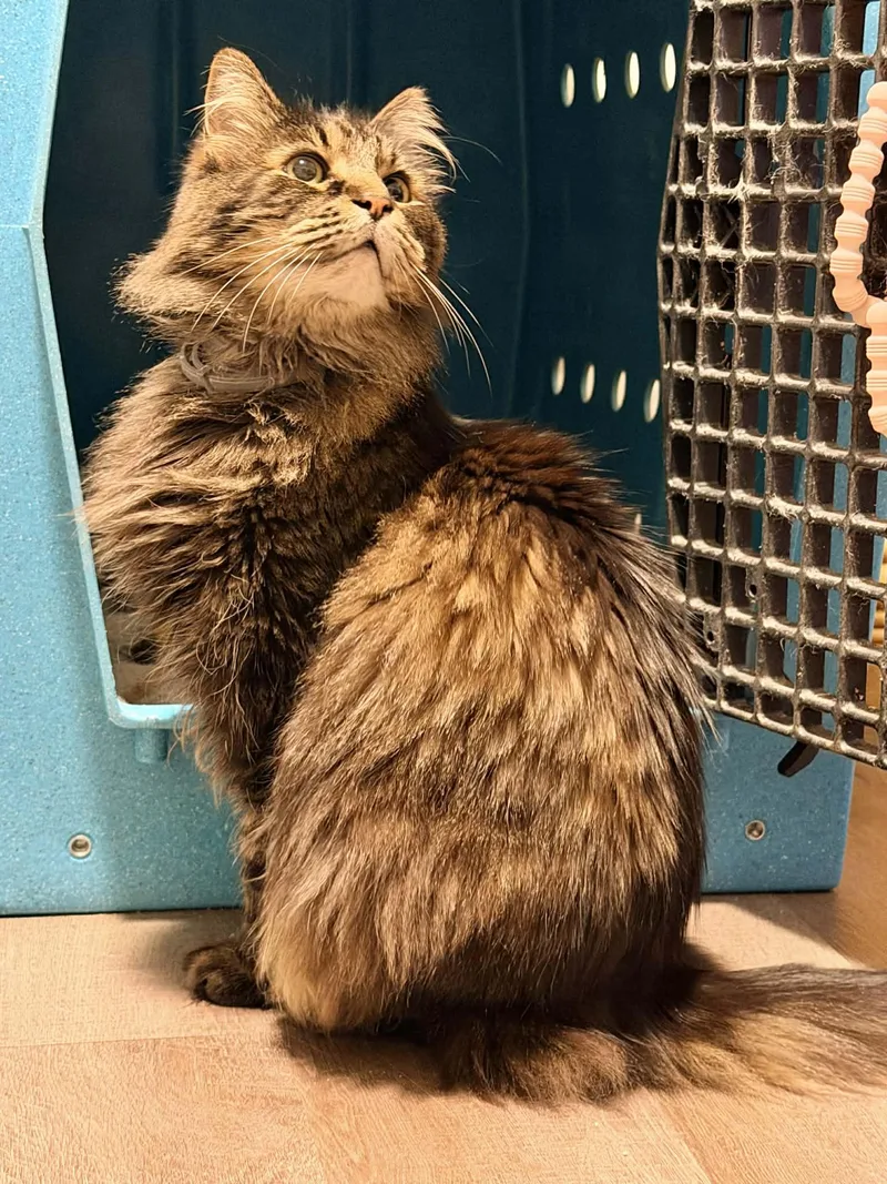 Reginald “reggie” thumbnail 4