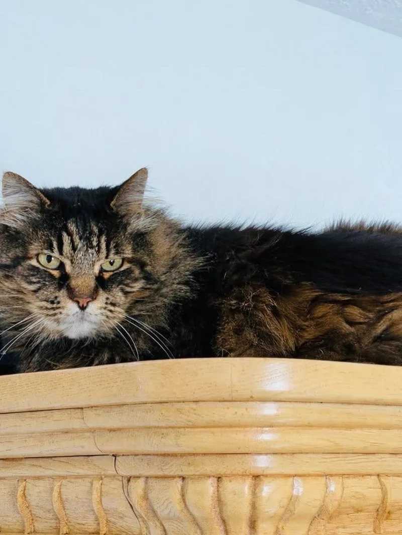 Reginald “reggie” thumbnail 5