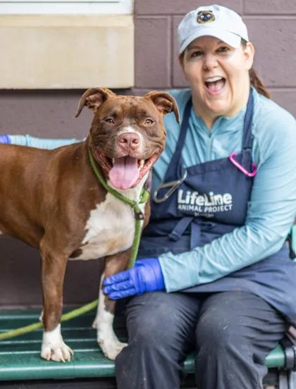 An adult large-sized male Mixed Breed dog named Alpha for adoption in Chamblee, GA