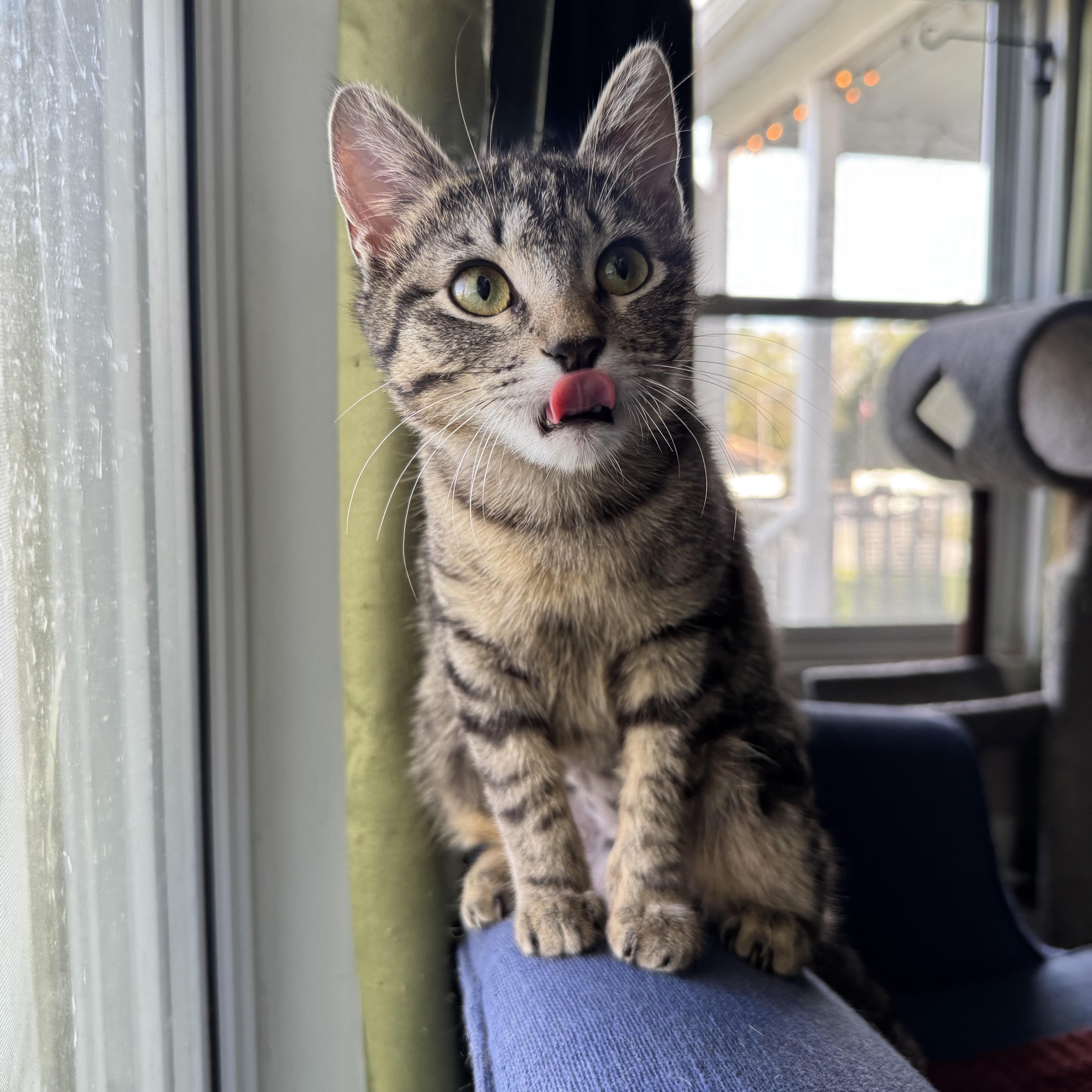 Texas Pete Aka. Petey