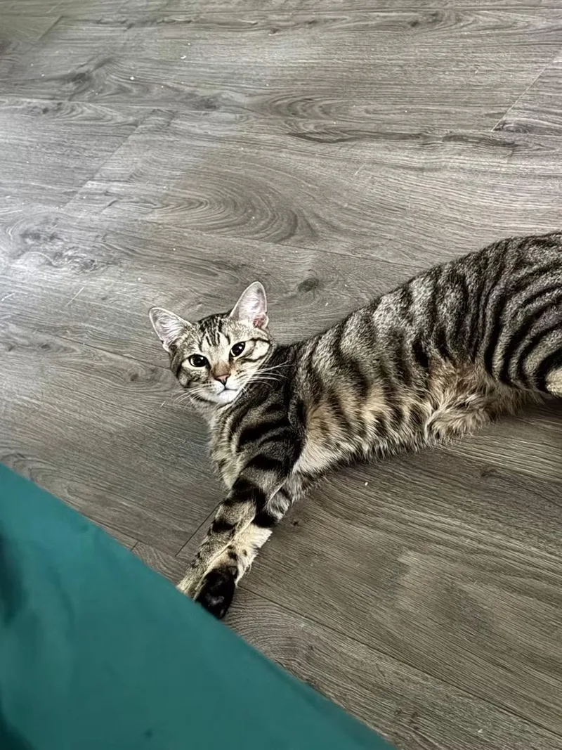 Phoebe and Joey thumbnail 2
