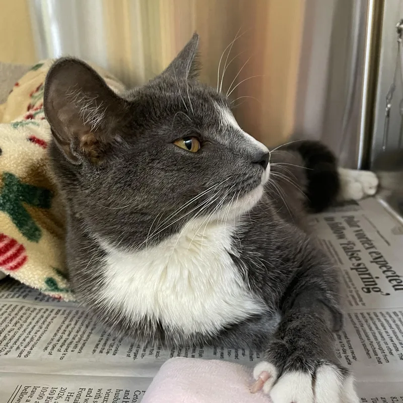 Stardust thumbnail 3