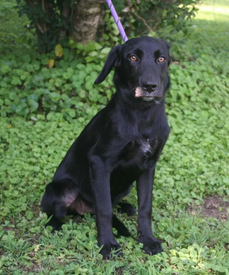 Lucy