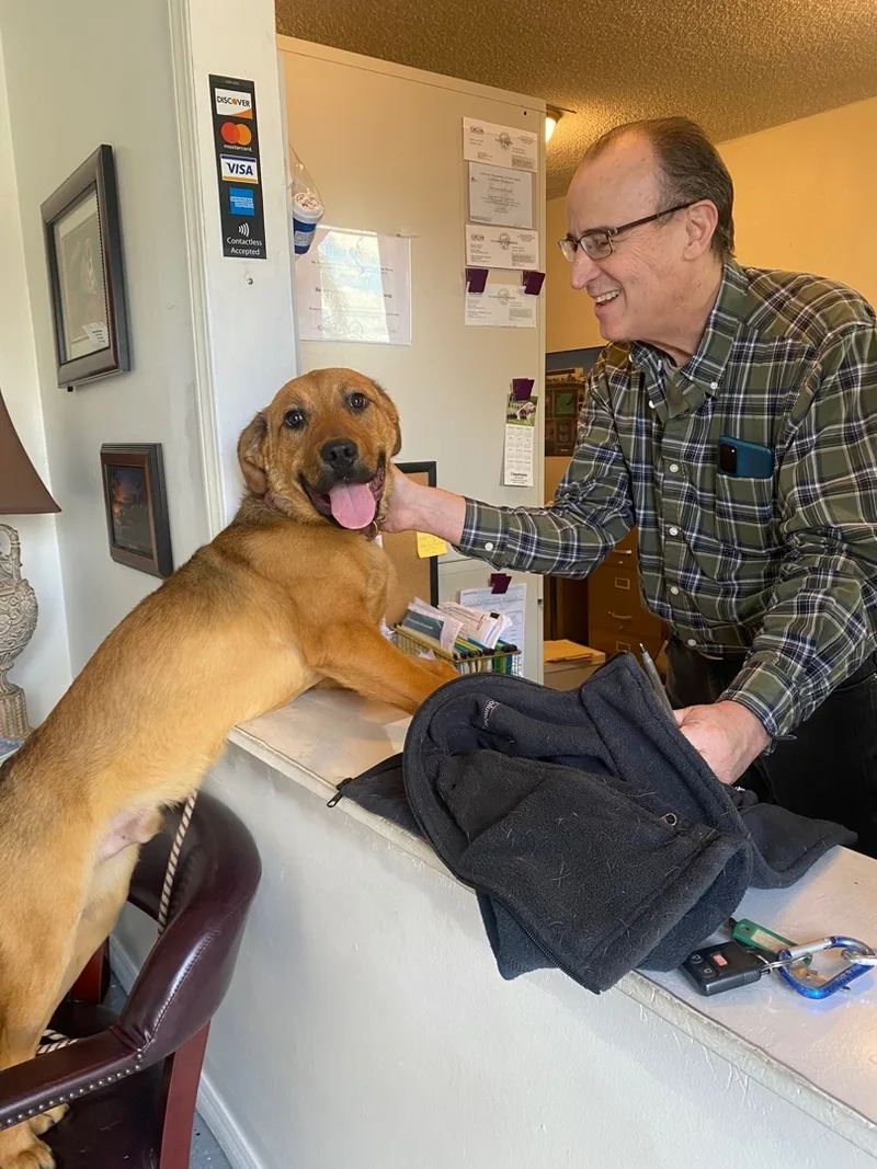 Awesome Mr. Wiggles Puppy