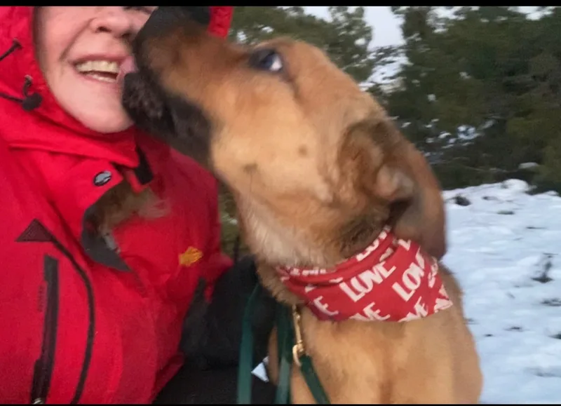 Awesome Mr. Wiggles Puppy thumbnail 4