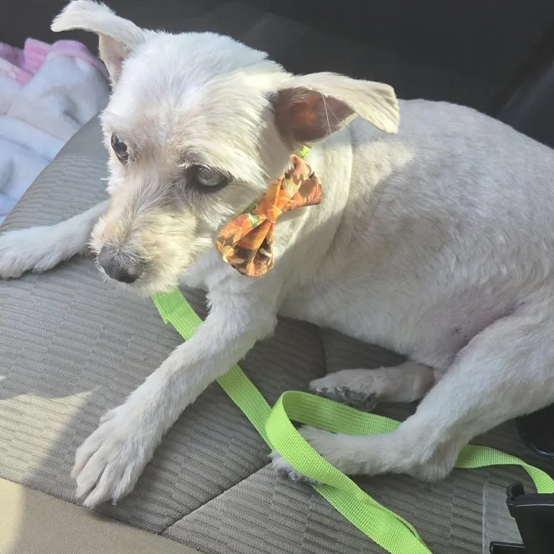 Winston Jones thumbnail 2