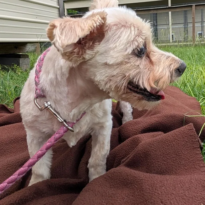 Winston Jones thumbnail 3