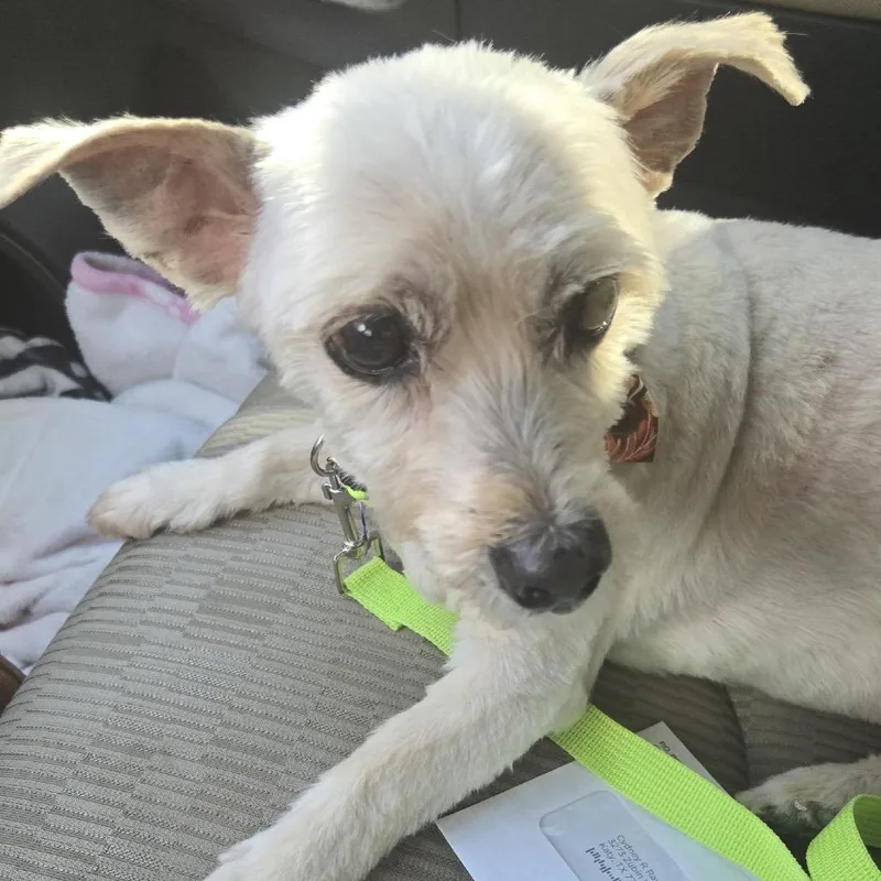 Winston Jones thumbnail 4