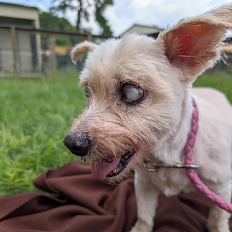 Winston Jones thumbnail 5