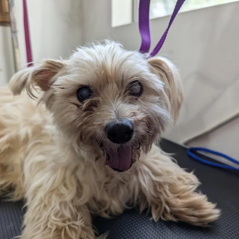 Winston Jones thumbnail 6