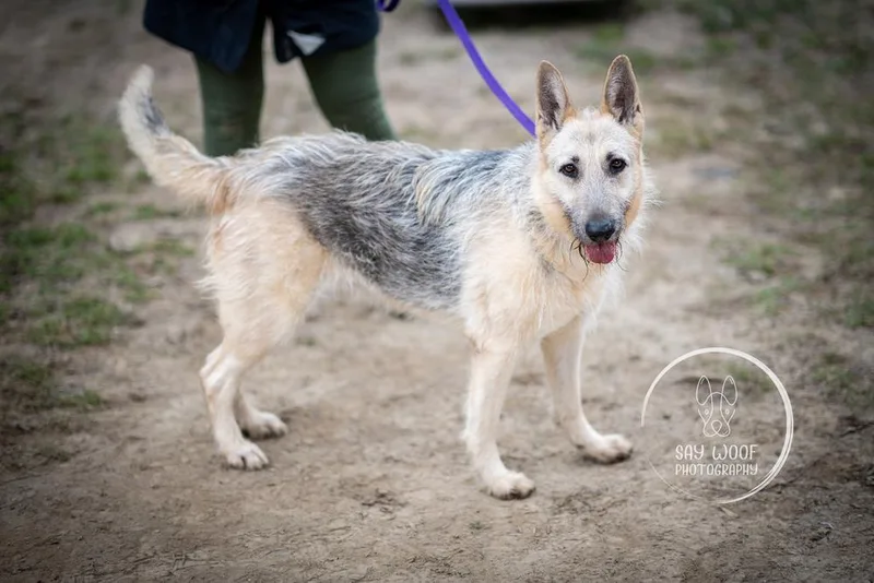 Gigi The Glamorous thumbnail 5