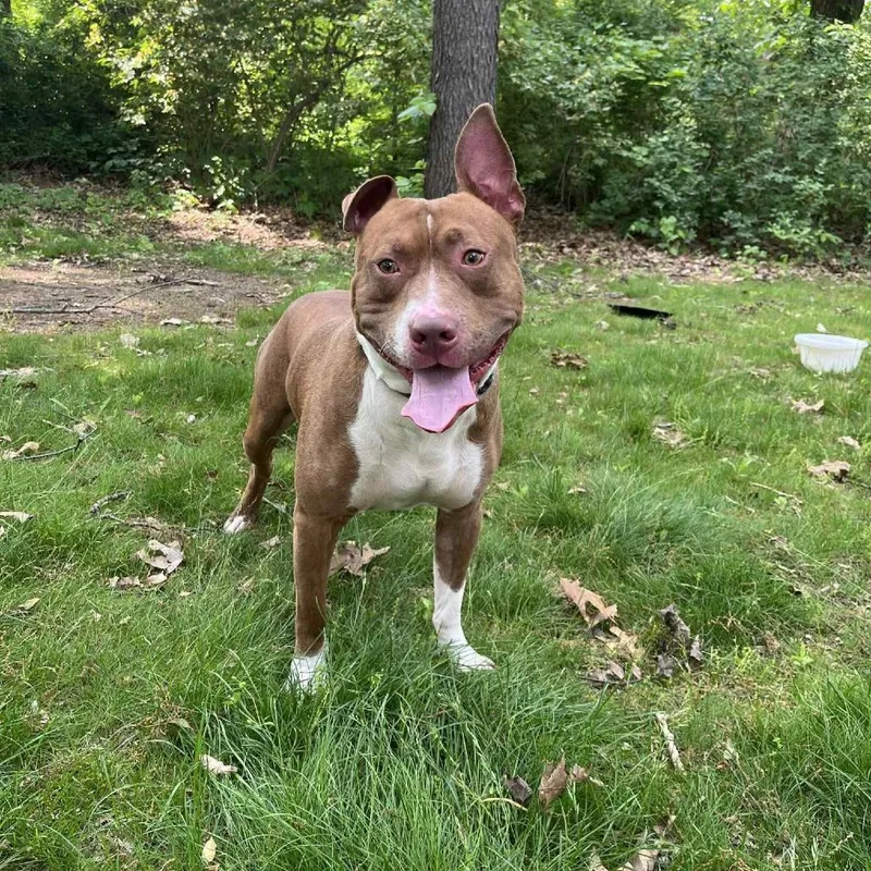 Zeus
