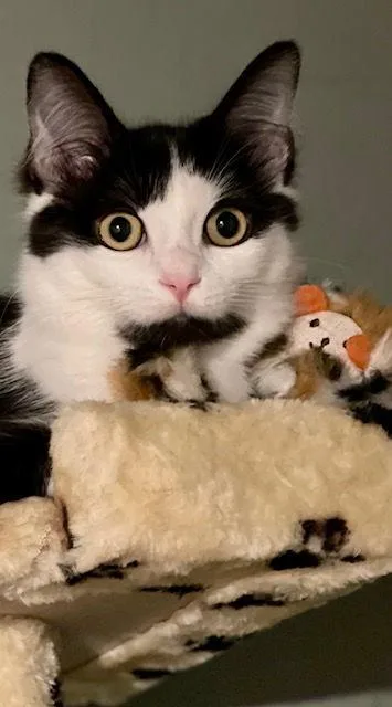 Marilyn And Monroe thumbnail 2