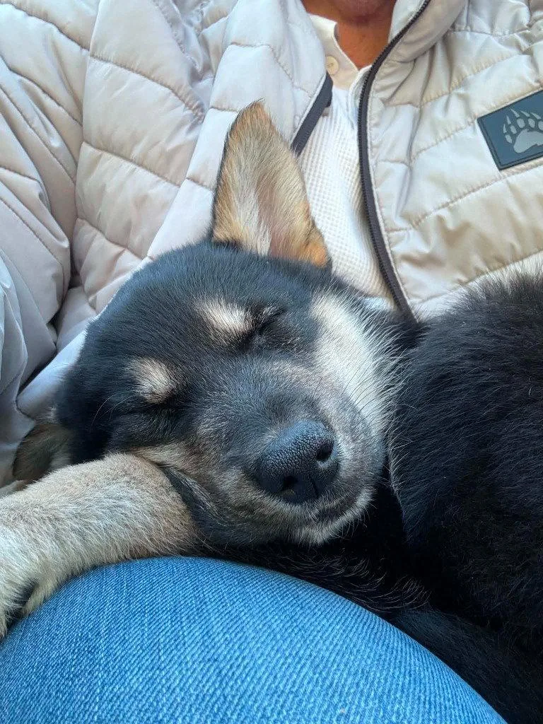 Mia