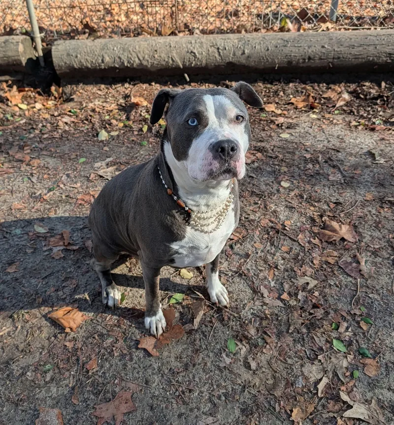 Hollie Berry thumbnail 2