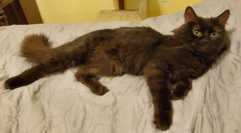 Lucius & Reggie thumbnail 5