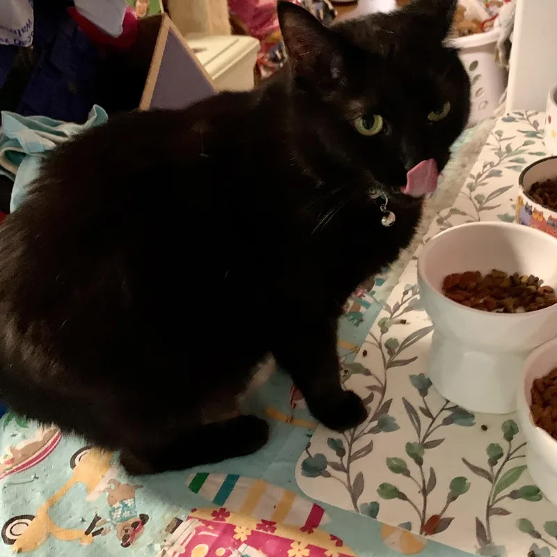 Miss Nina thumbnail 2