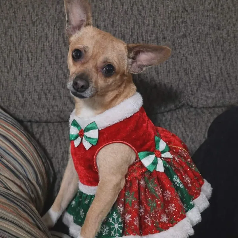 Clarabella thumbnail 2