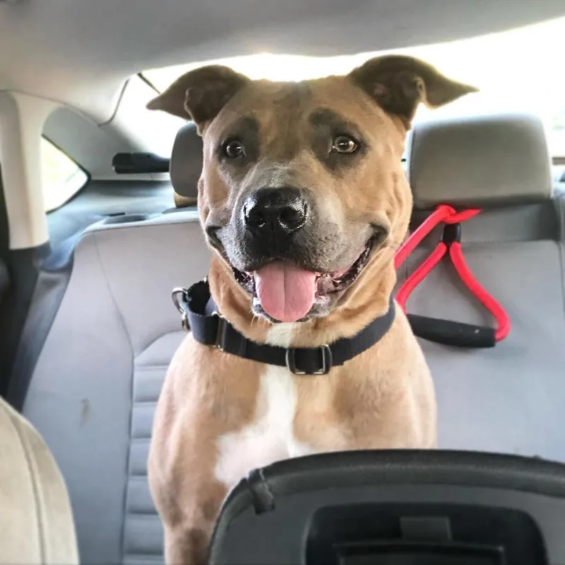 Sunny Sue thumbnail 2