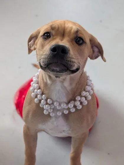 Hazel Mae thumbnail 2