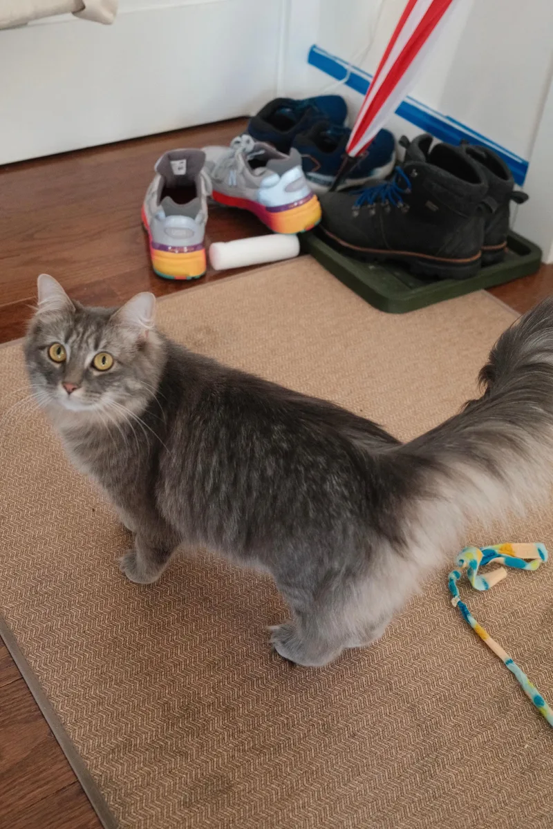 Eleanor