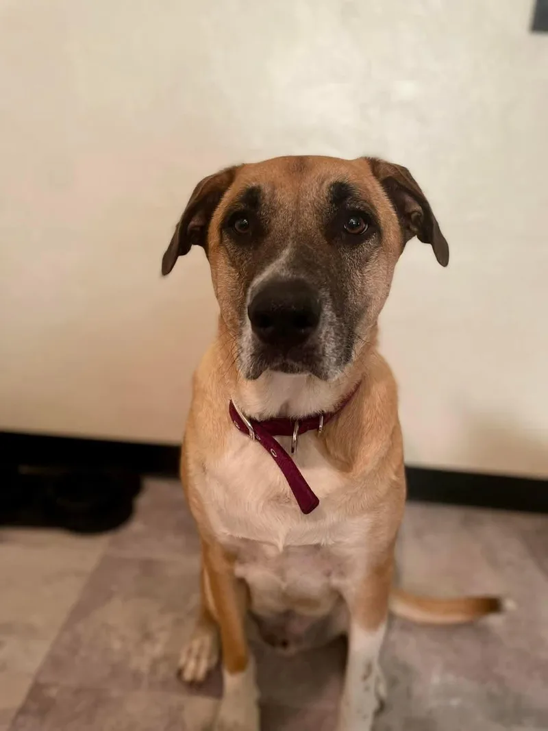 Rocky Balboa thumbnail 2