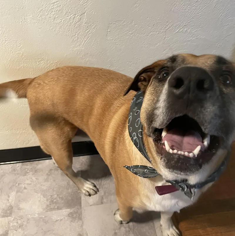 Rocky Balboa thumbnail 3