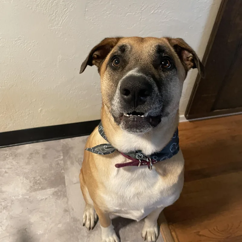 Rocky Balboa thumbnail 4