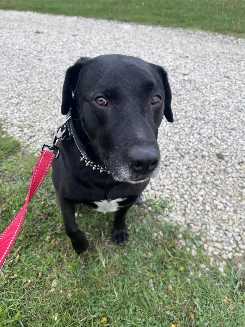 Mackeenot Accepting Applications Yet! thumbnail 2