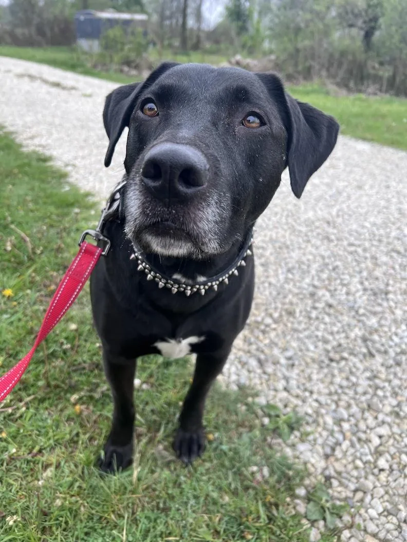 Mackeenot Accepting Applications Yet! thumbnail 3