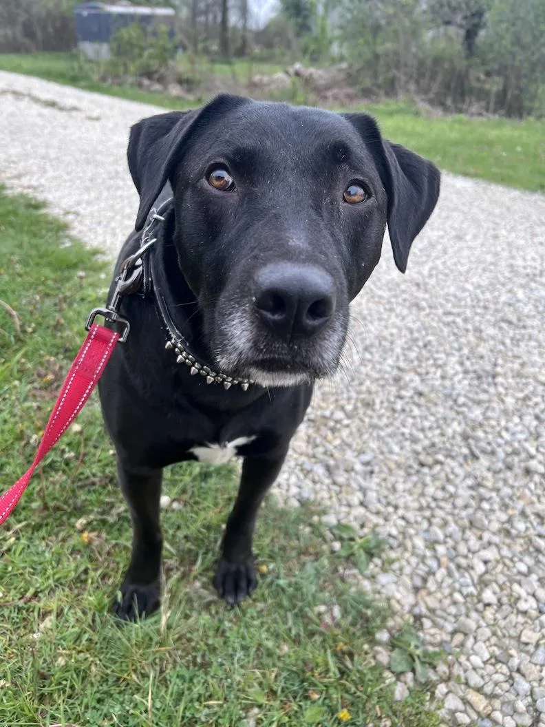 Mackeenot Accepting Applications Yet!