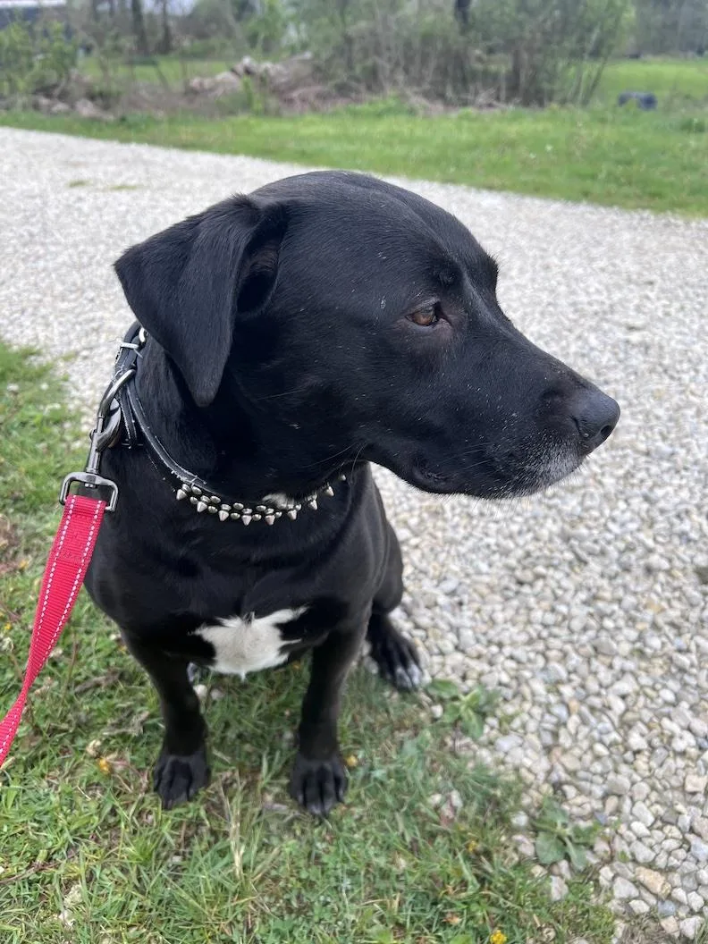 Mackeenot Accepting Applications Yet! thumbnail 4