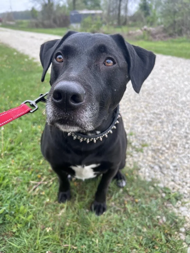 Mackeenot Accepting Applications Yet! thumbnail 5