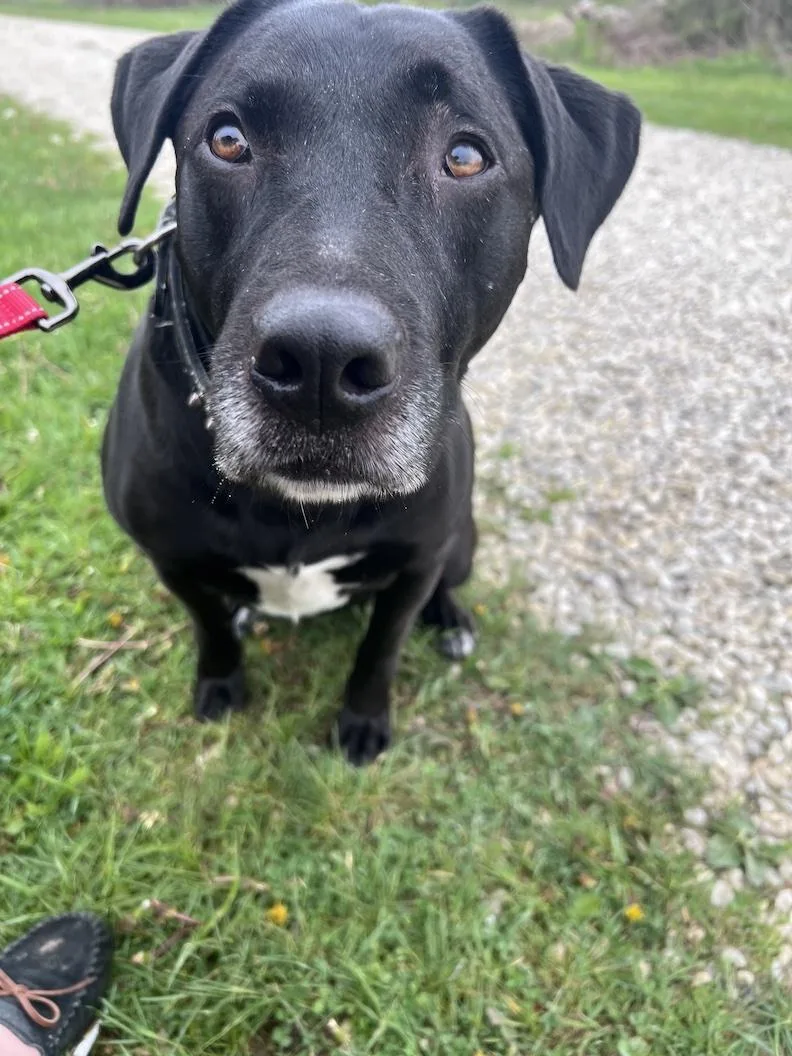 Mackeenot Accepting Applications Yet! thumbnail 6