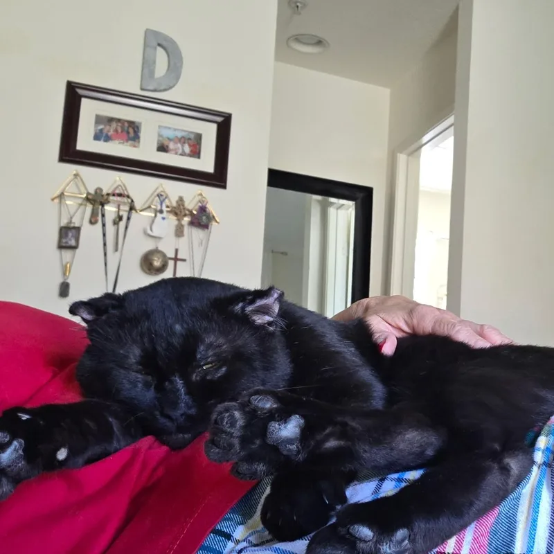 Walter thumbnail 4