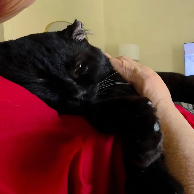 Walter thumbnail 5