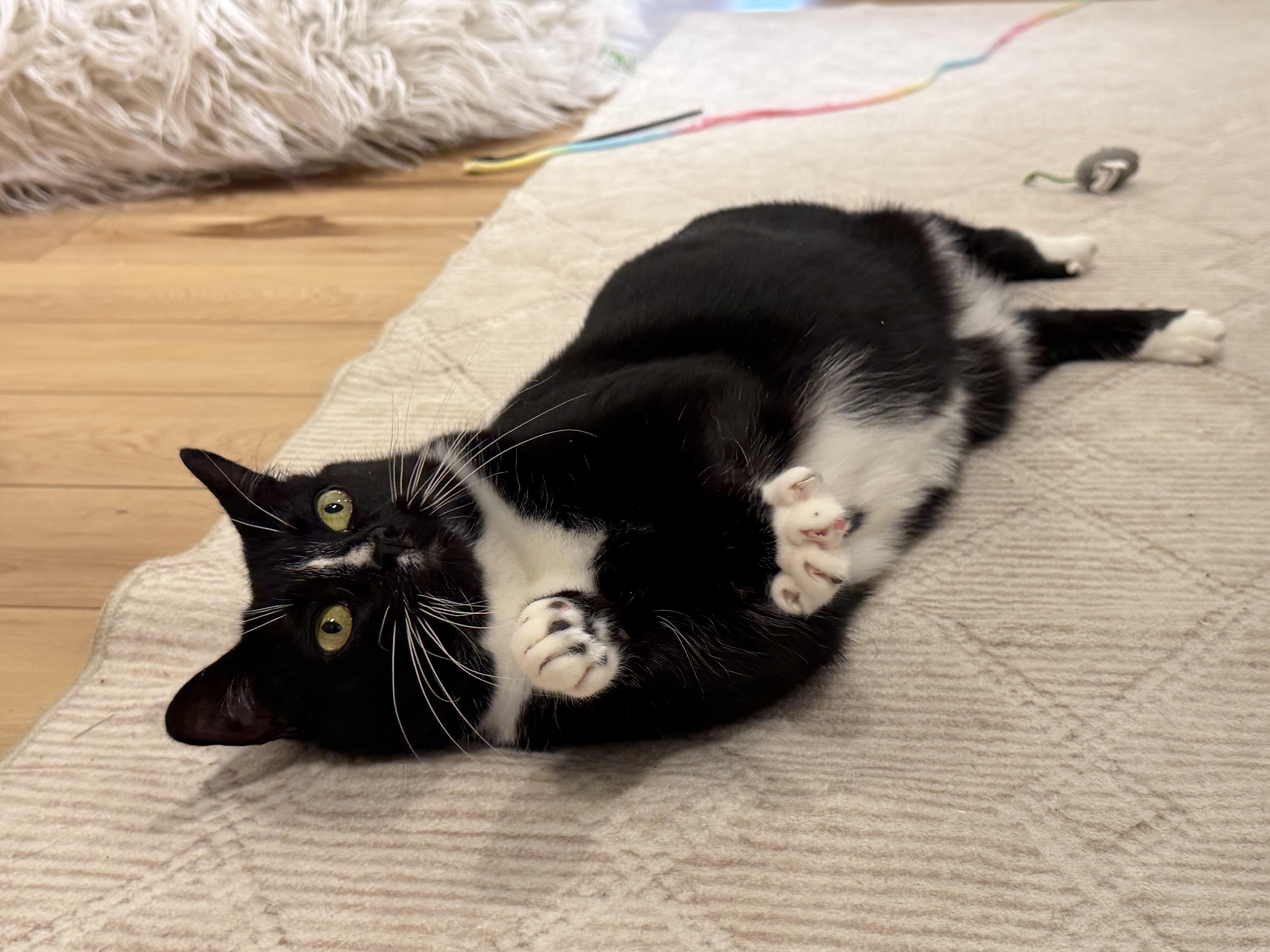 Milkshake thumbnail 3