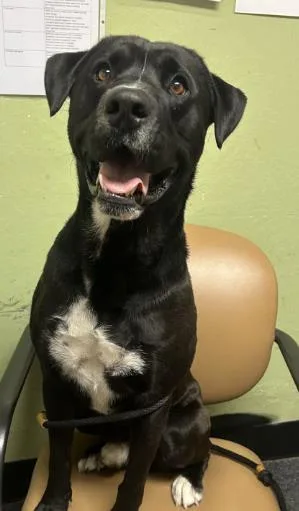 Max