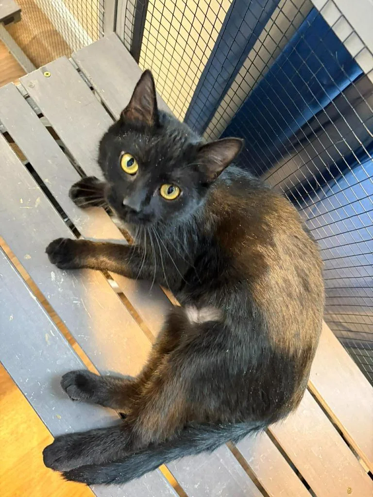 Valentina thumbnail 2