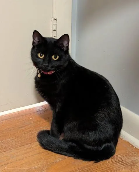 Valentina thumbnail 3