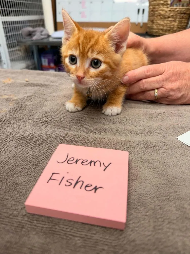 Jeremy