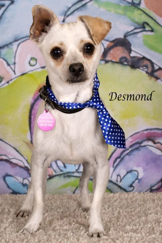 Desmond