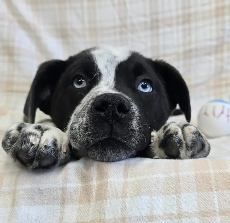 Cloud Nine thumbnail 3