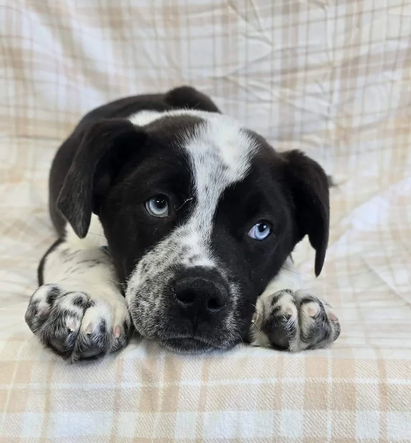 Cloud Nine thumbnail 6