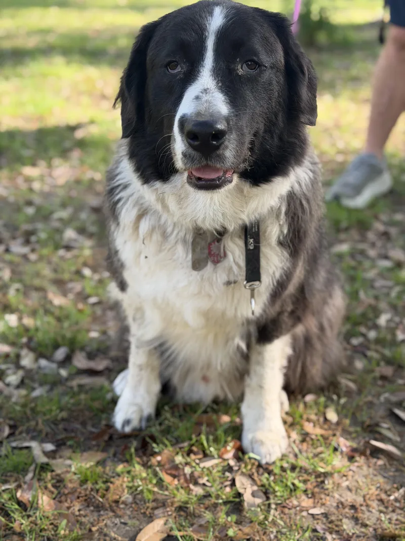 King Arthur thumbnail 2