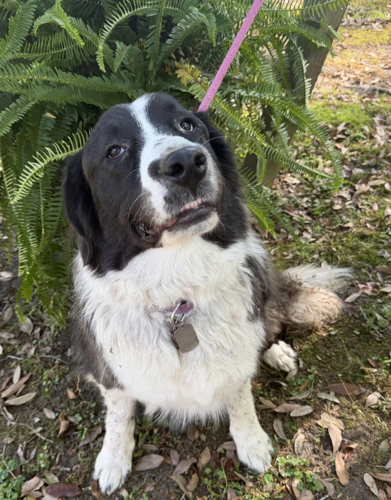 King Arthur thumbnail 3