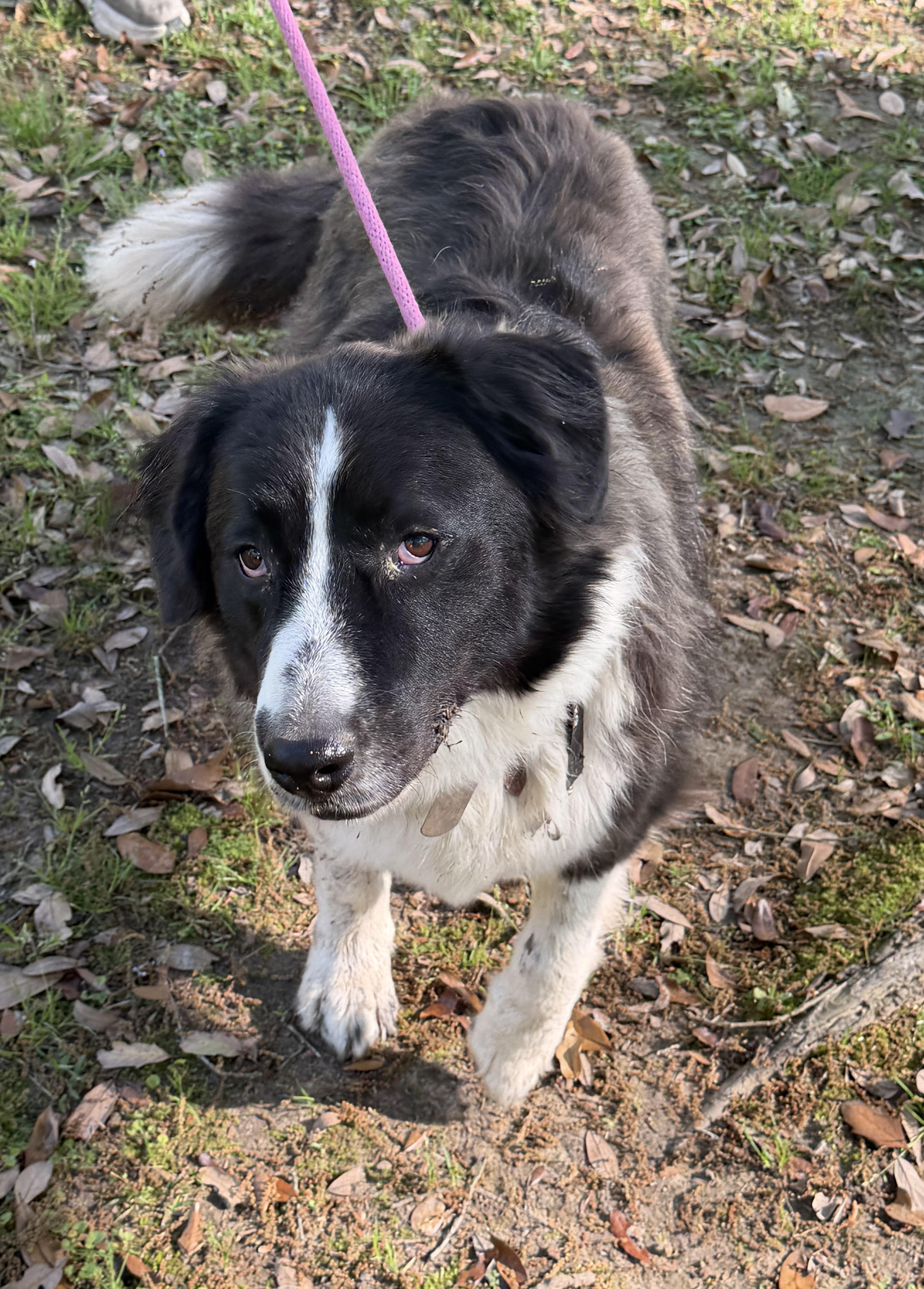 King Arthur thumbnail 5