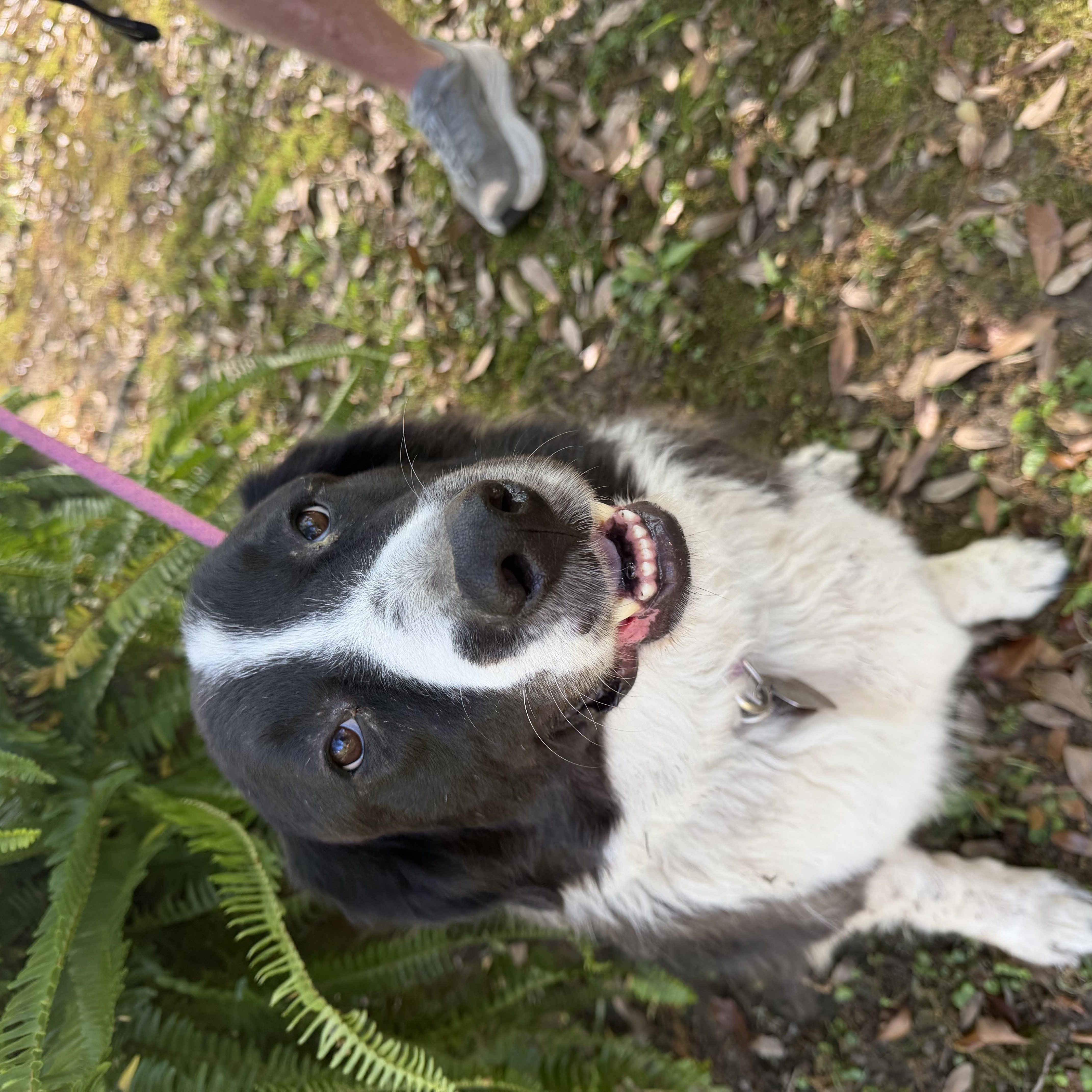 King Arthur thumbnail 6